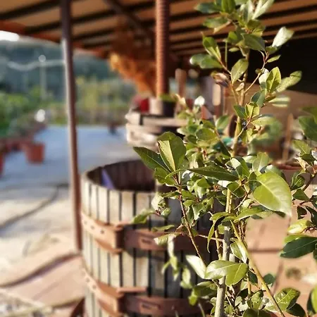 Agriturismo Villanova Caiazzo