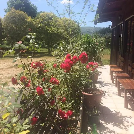 Agriturismo Villanova Agroturismo